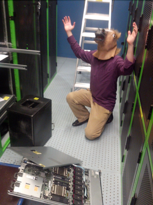 Yours truly. Horse mask and server opened up for dramatic effect.
